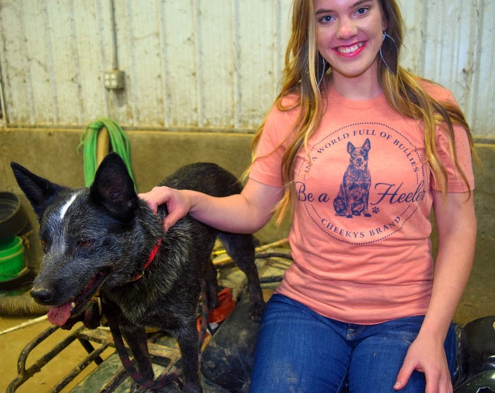 In a World of Bullies Be a Heeler Tee XL and 2xl ONLY remain