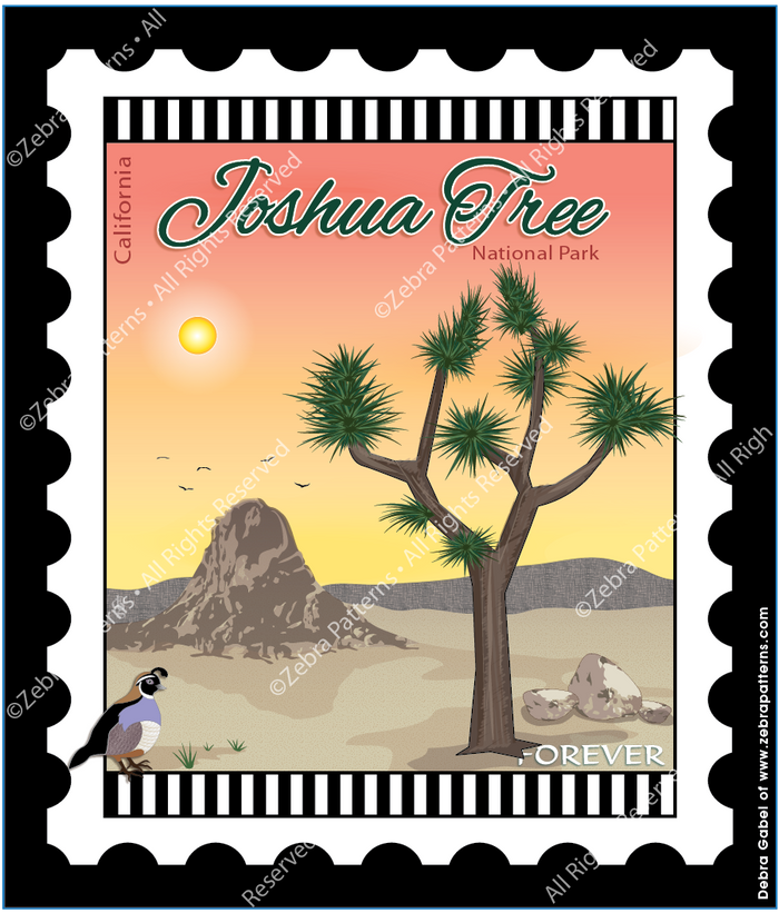 Joshua Tree California