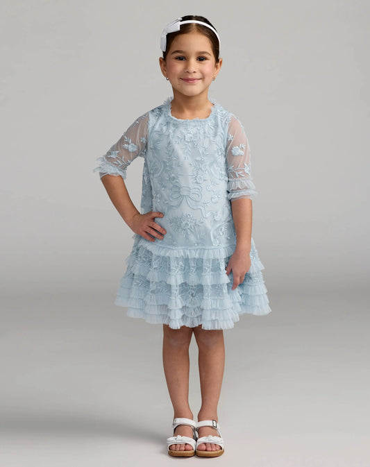 Girls Micro Ruffle Embroidered Mini Dress
