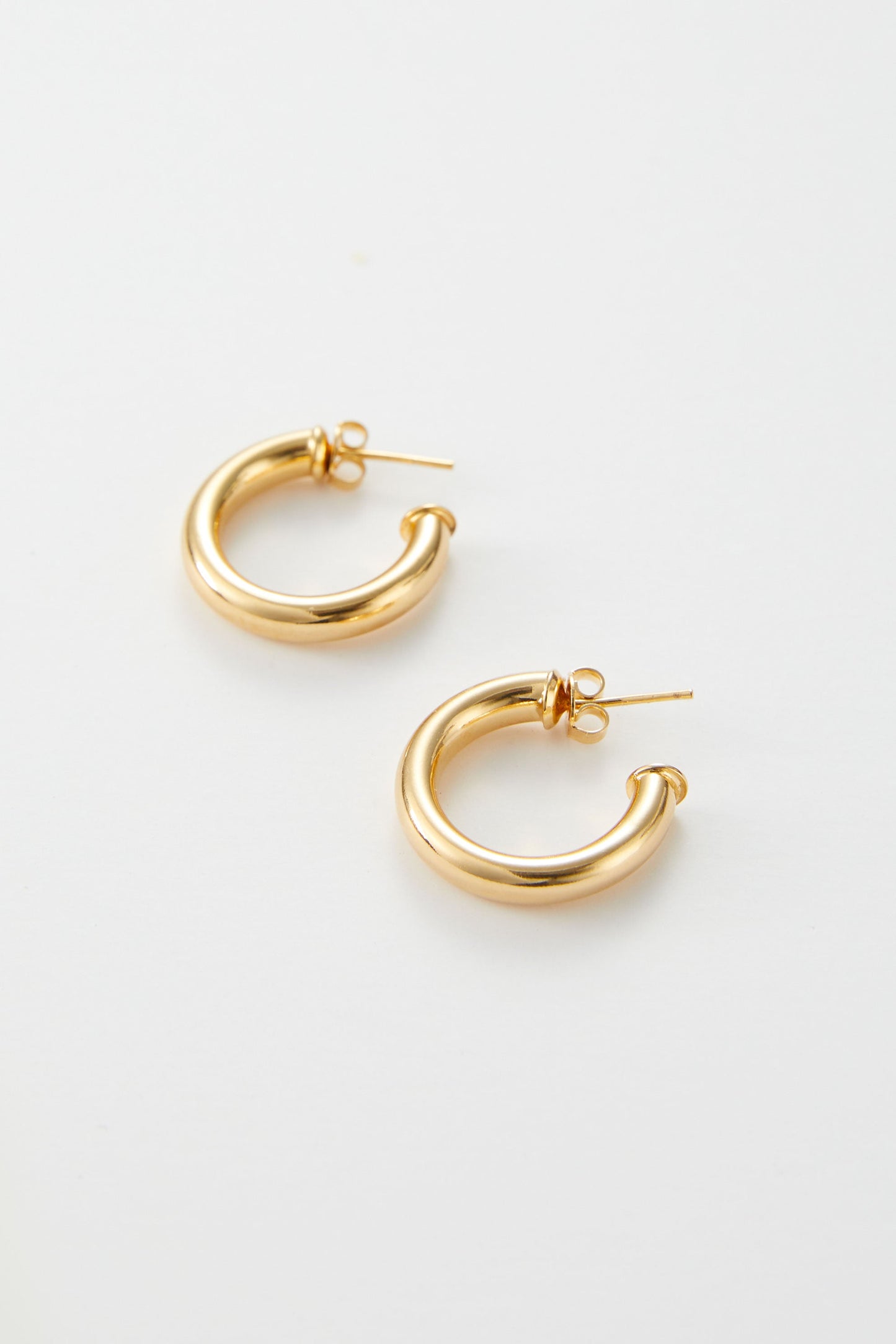 Hailey Small Thick Hoops
