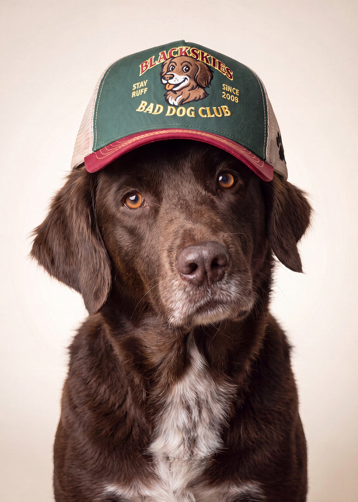 Bad Dog Trucker Cap