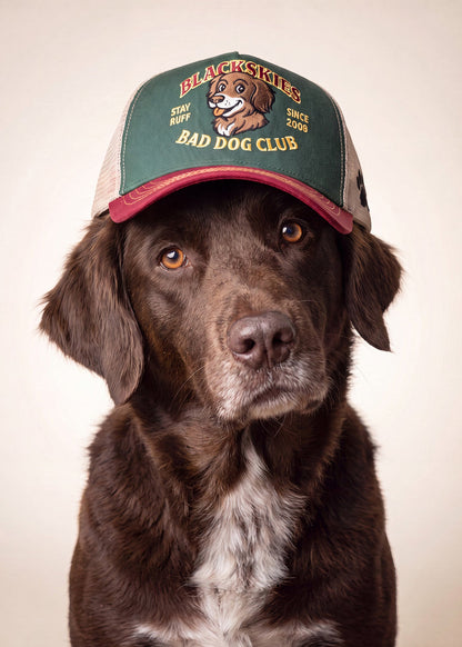 Bad Dog Trucker Cap