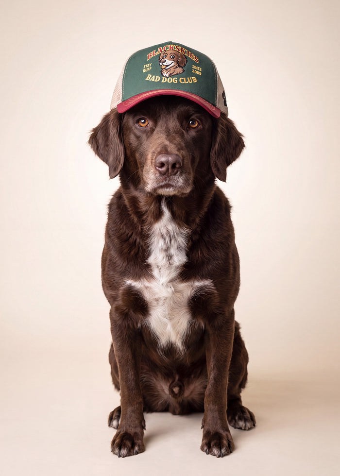 Bad Dog Trucker Cap