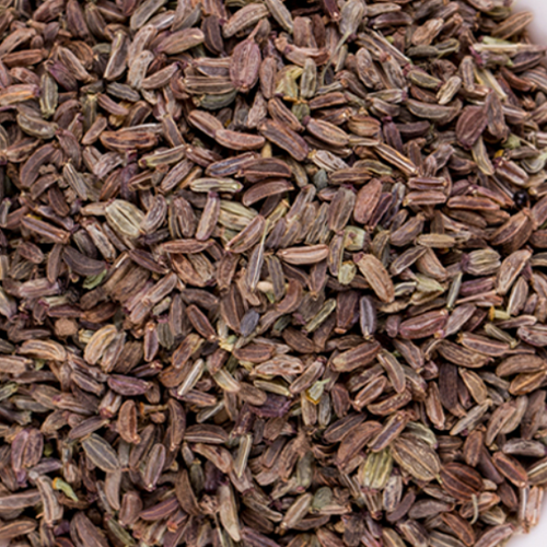 Bupleurum chinense & Bupleurum Seeds