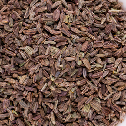 Bupleurum chinense & Bupleurum Seeds