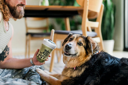 Dog dad holding a Fog City Pet x Play Matcha Boba dog toy with a dog sitting next to them in a casual setting.