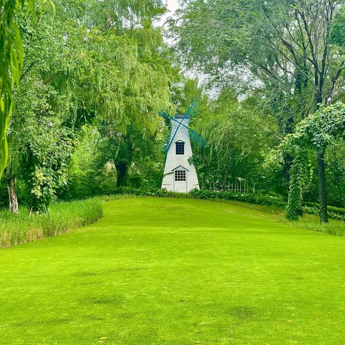 🌱 Σπόροι Four Seasons Evergreen Dwarf Grass | Δημιουργήστε το τέλειο γκαζόν σας ξεκινώντας από εδώ!-GR