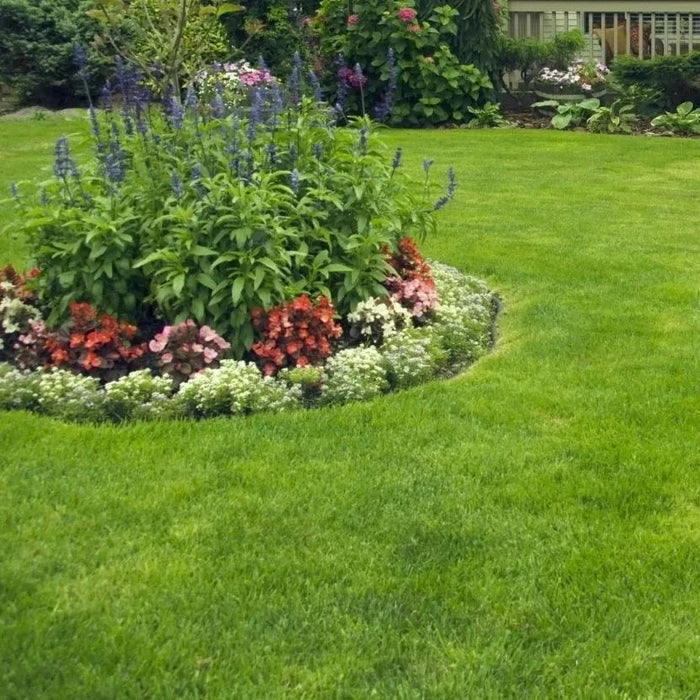 🌱 Σπόροι Four Seasons Evergreen Dwarf Grass | Δημιουργήστε το τέλειο γκαζόν σας ξεκινώντας από εδώ!-GR