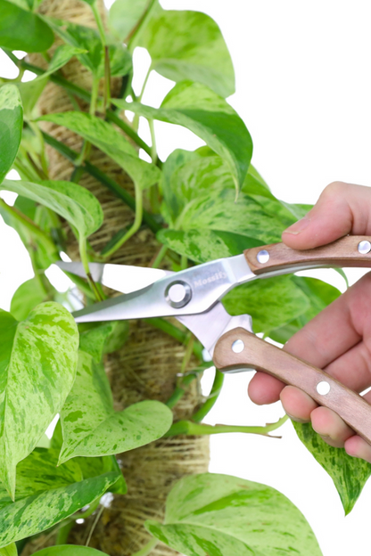 Mossify-Slim-Garden-Utility-Shears