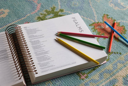 NIV, Spiral-bound Illustrating Bible, Leathersoft Spiral, Pink: Draw, Write, and Reflect Your Way Through Scripture