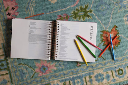 NIV, Spiral-bound Illustrating Bible, Leathersoft Spiral, Pink: Draw, Write, and Reflect Your Way Through Scripture