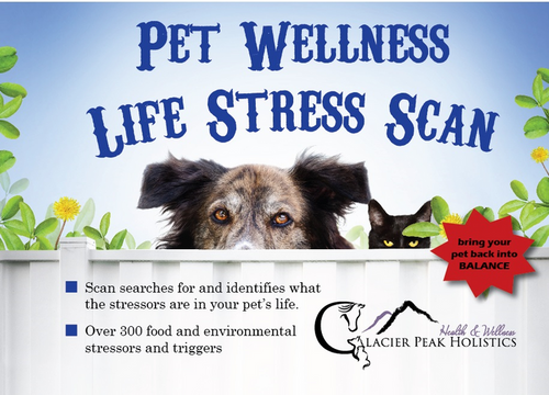 Pet Wellness Life Stress Scan