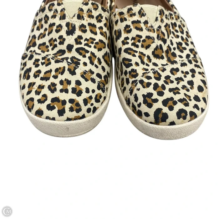 Shoes Flats By Toms In Leopard Print, Size: 7.5