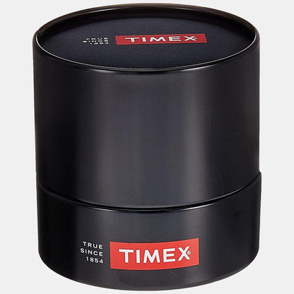 Timex Stainless Steel Beige watch
