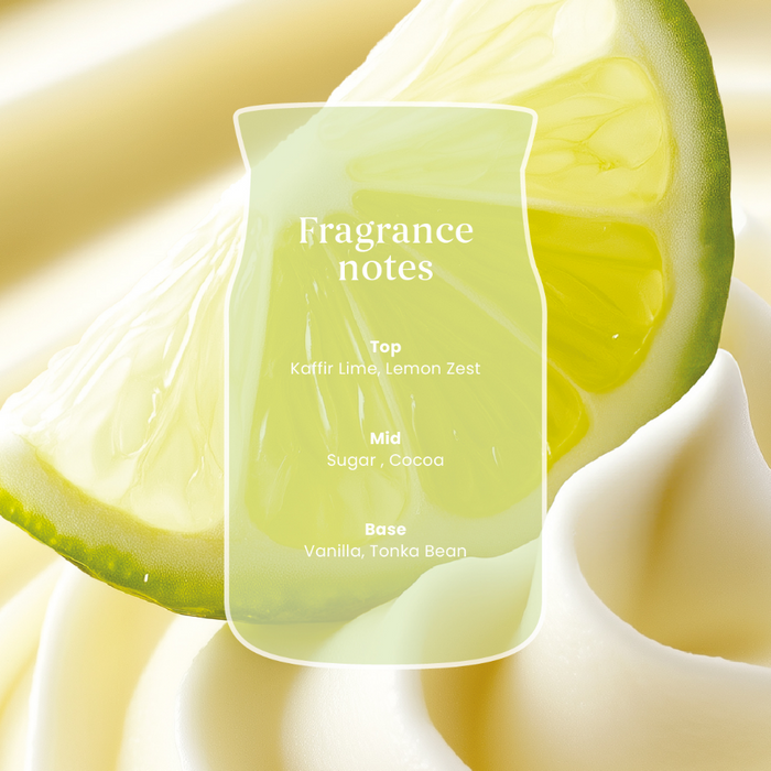 Yankee Candle Vanilla Lime Medium Signature Jar Candle